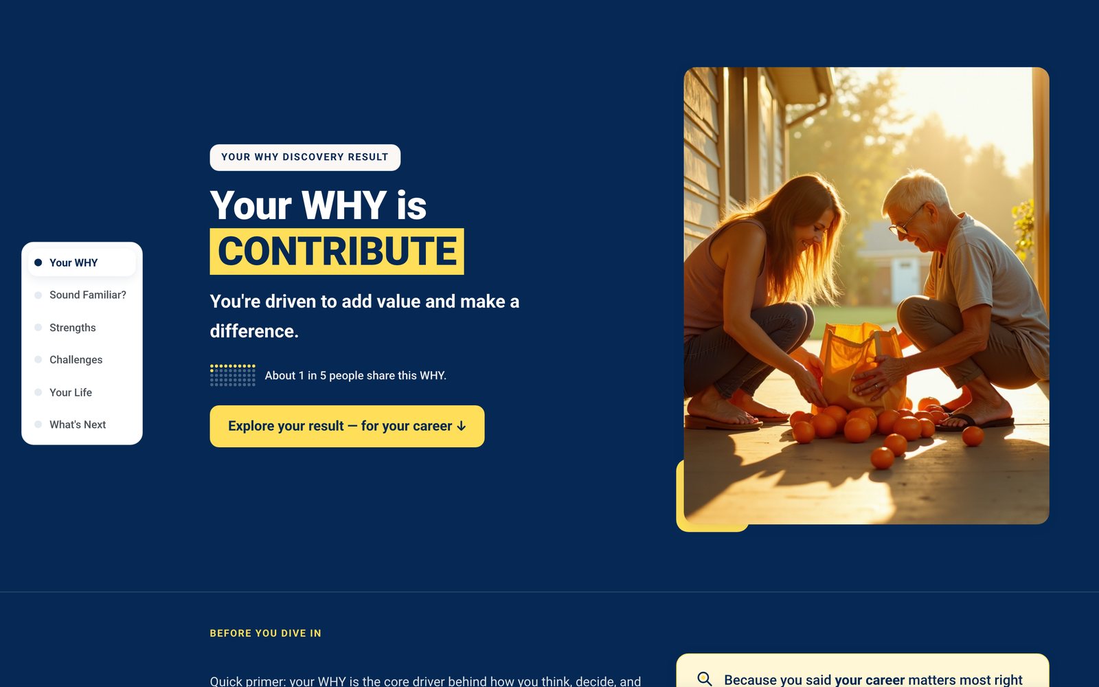 Free WHY funnel result page: Your WHY is Contribute